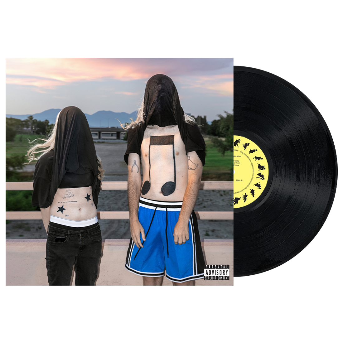 100 gecs 10,000 gecs vinyl (black)