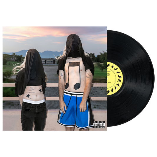 100 gecs 10,000 gecs vinyl (black)