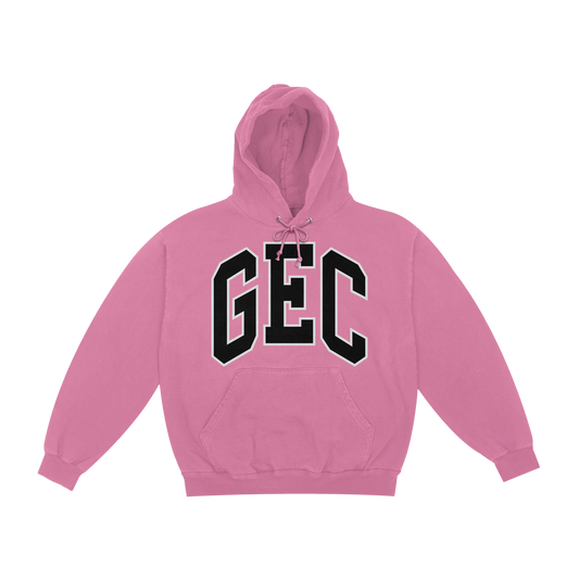 Varsity Pink Hoodie
