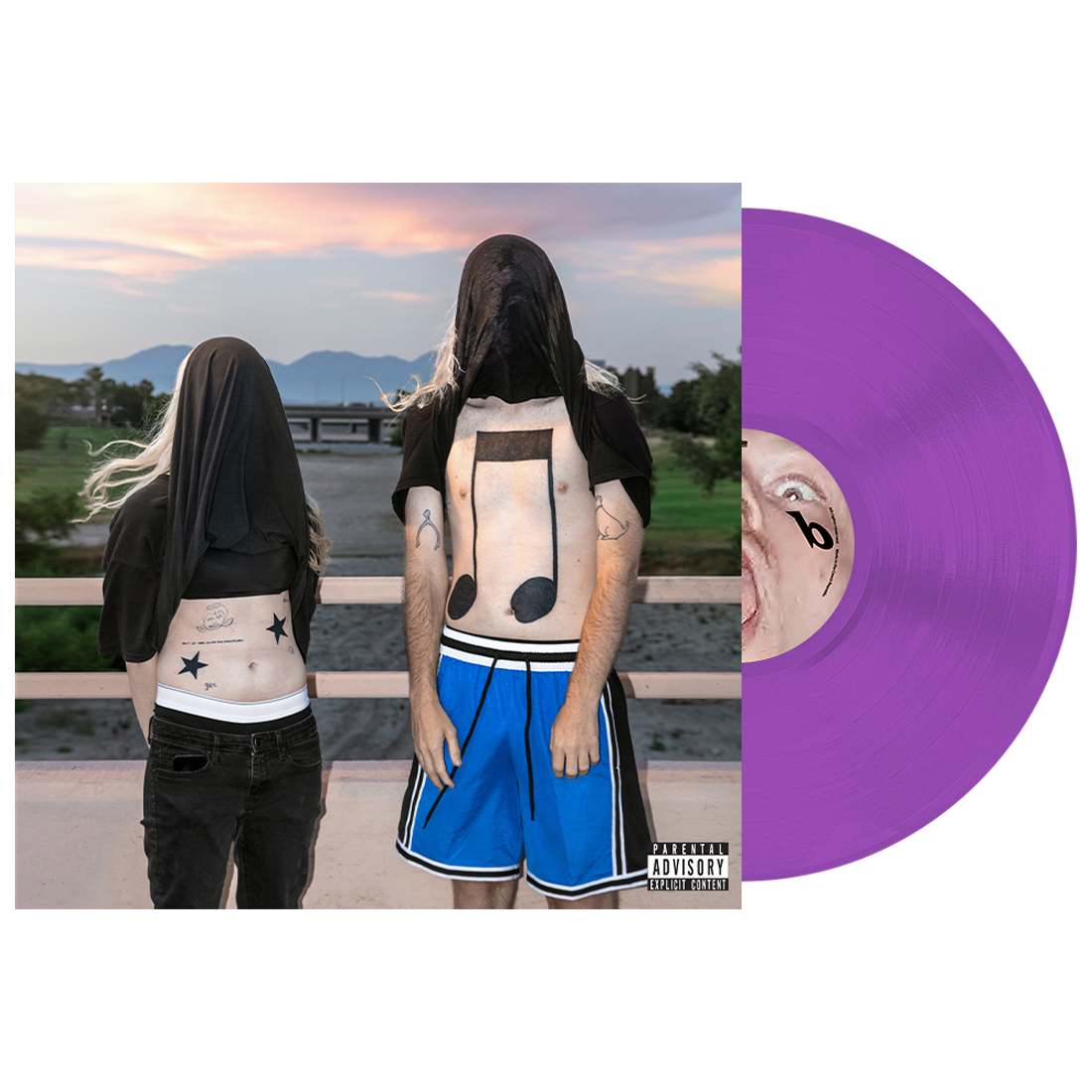 100 gecs 10,000 gecs vinyl (purple)