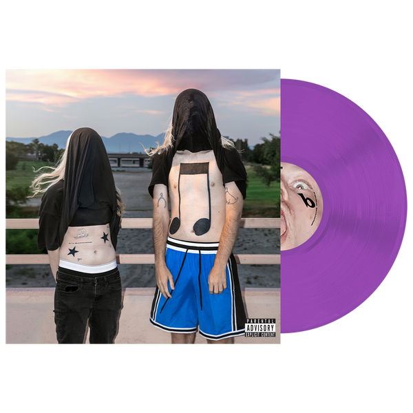 100 gecs LPセット 100 gecs 10,000 gecs vinyl (purple)